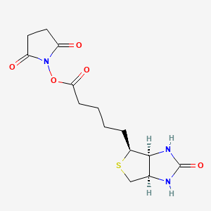 (+)-Biotin N-hydroxysuccinimide Ester丨CAS 35013-72-0